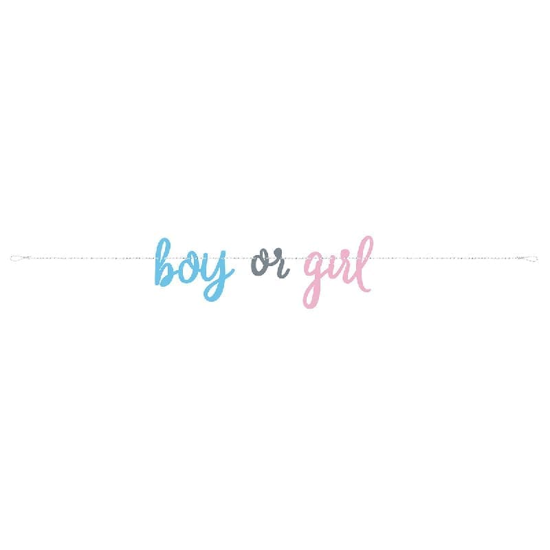 Banner Baby Reveal Boy or Girl 2.13m