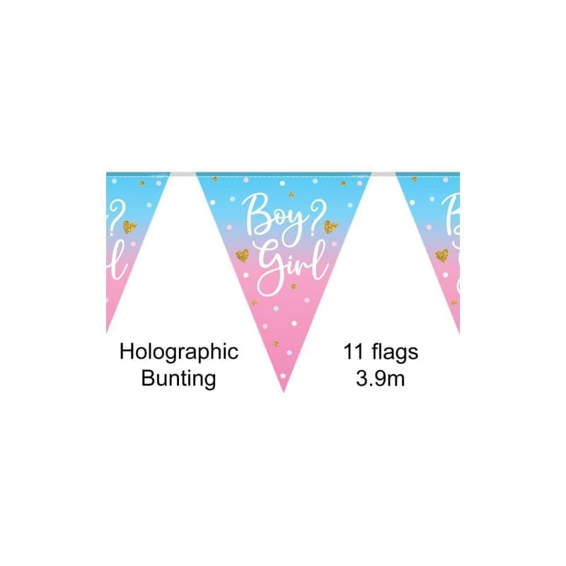 Flag Banner Boy or Girl Bright 3.9m