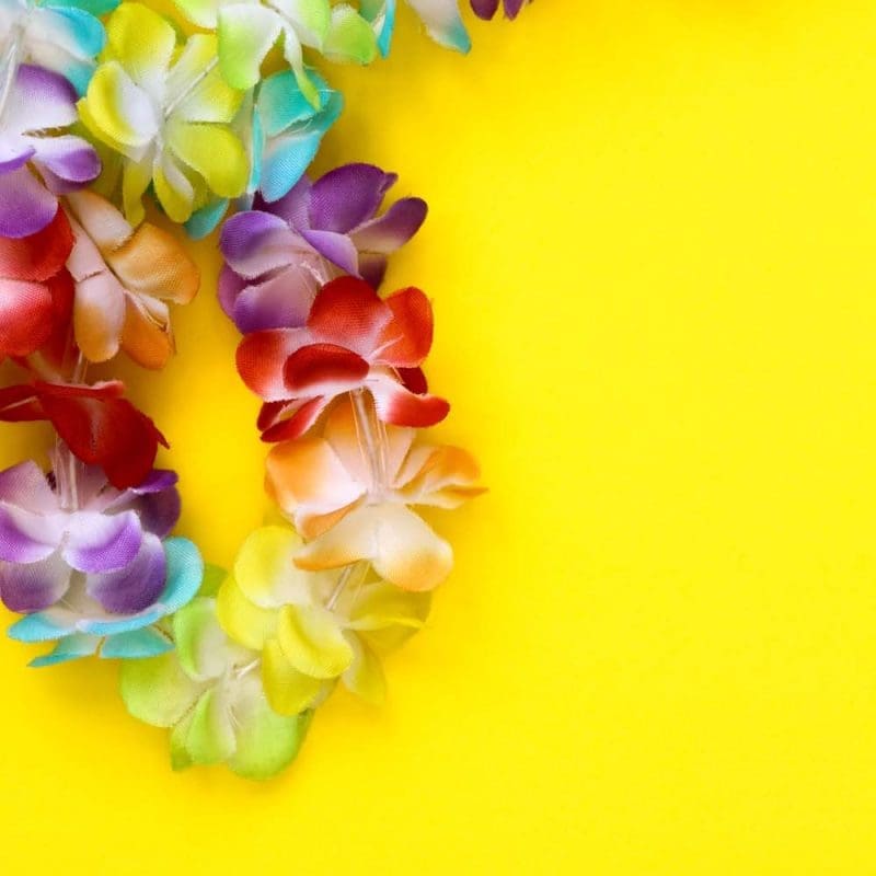 Hawaiian Luau