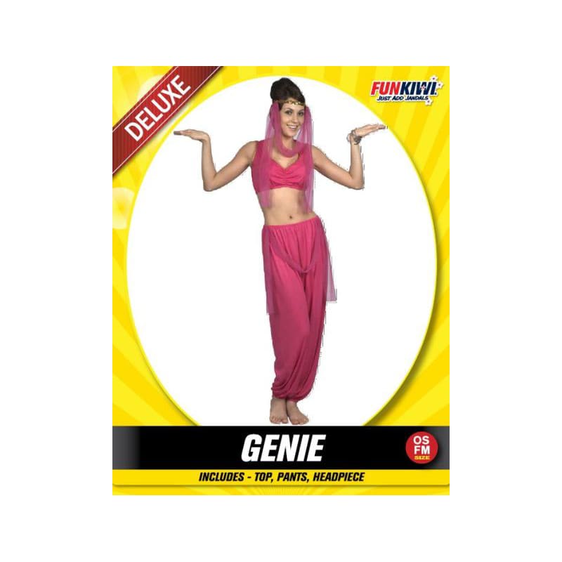 Costume Adult Genie Pink DNR