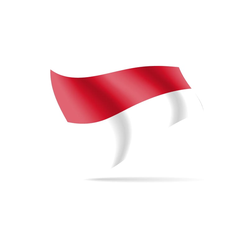 Hand Flag Indonesia 30cm x 45cm DNR