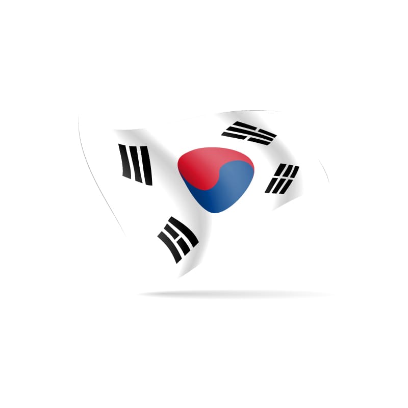 Large Flag South Korea DNR