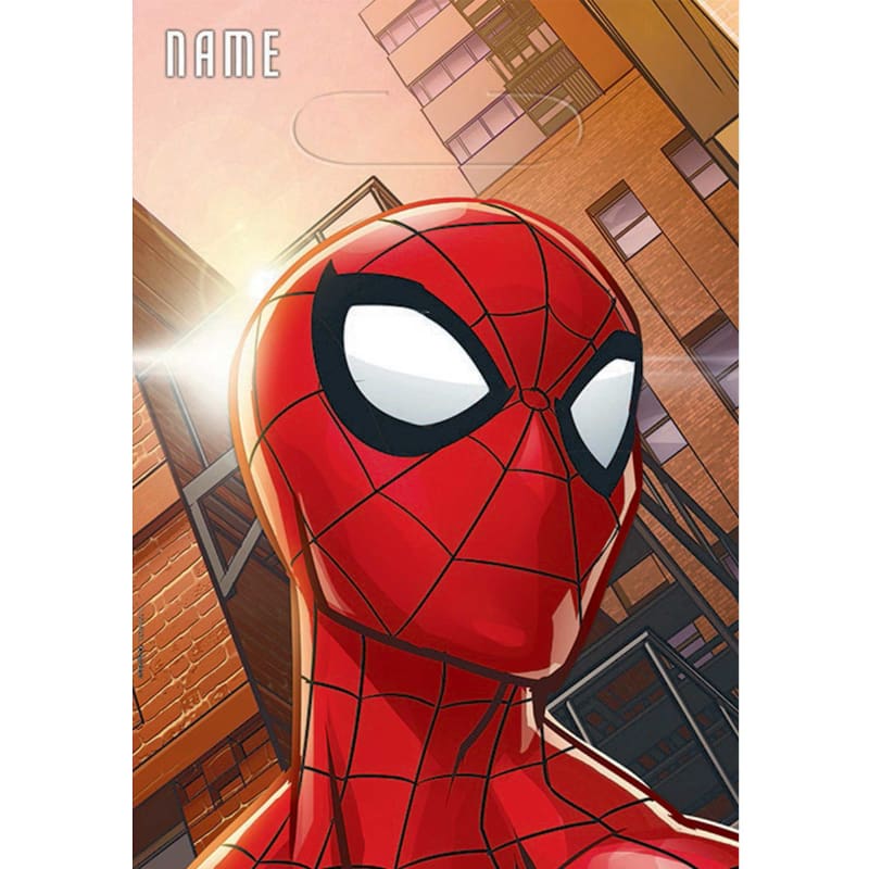 Spiderman Lootbags Pk8