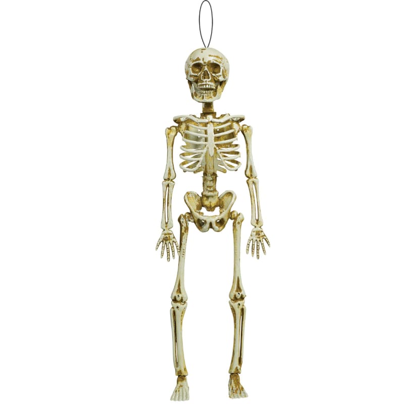 Prop Hanging Skeleton 39cm