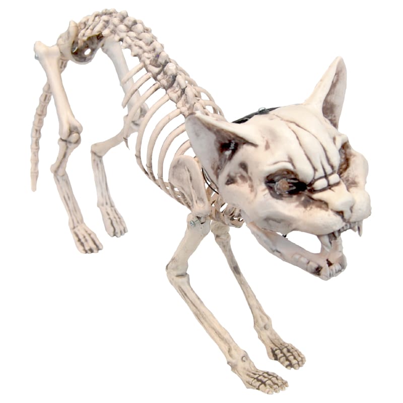 Skeleton Cat Screaming with Eyes DNR