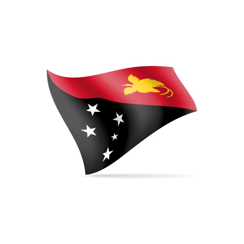 Large Flag PNG Papua New 90cm x 150cm