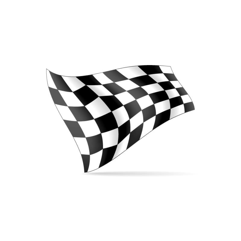 Hand Flag Checkered 30cm x 45cm