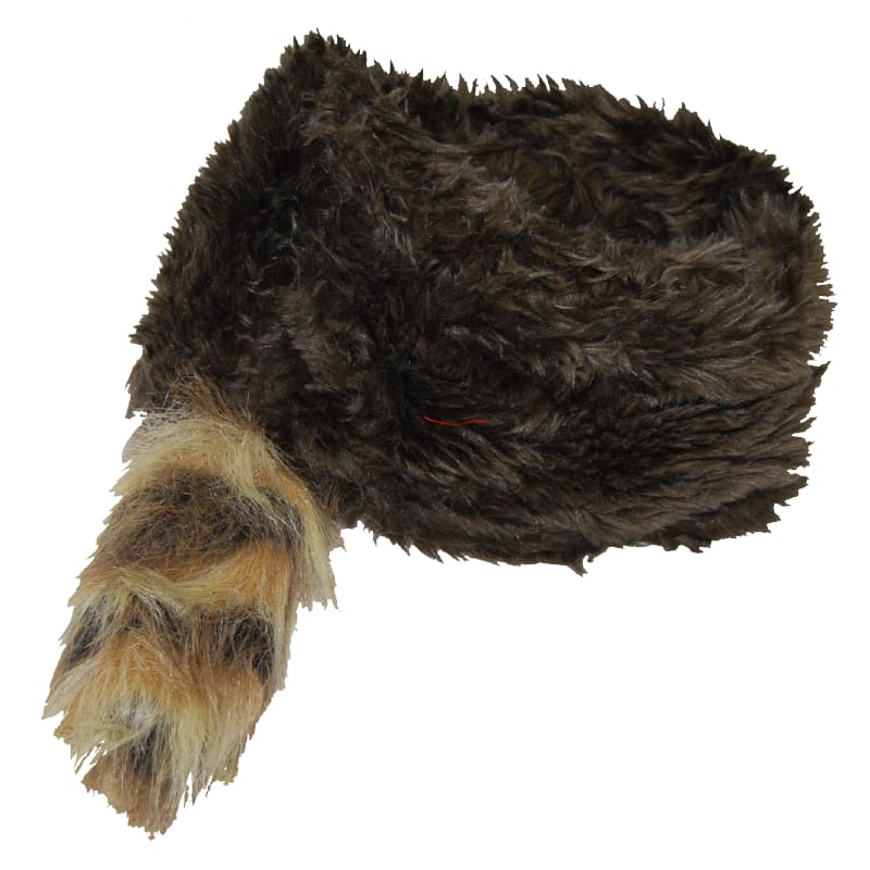 Hat Coonskin Racoon