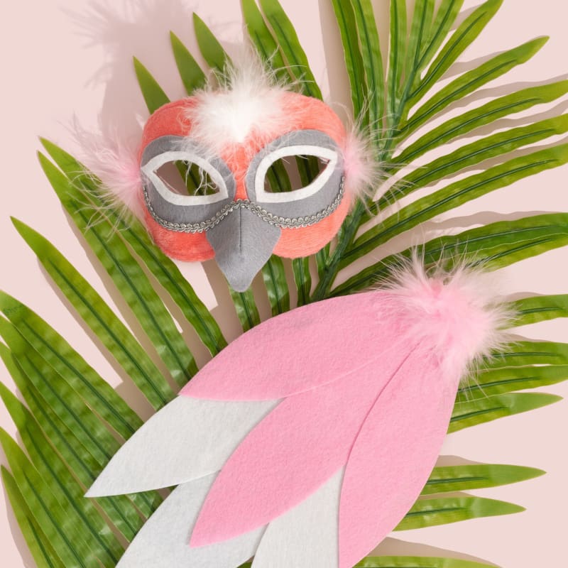 Mask and Tail Galah