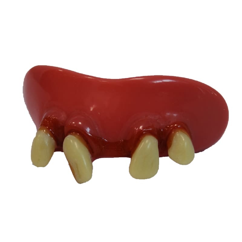 Teeth Billy Bob Goofy Assorted