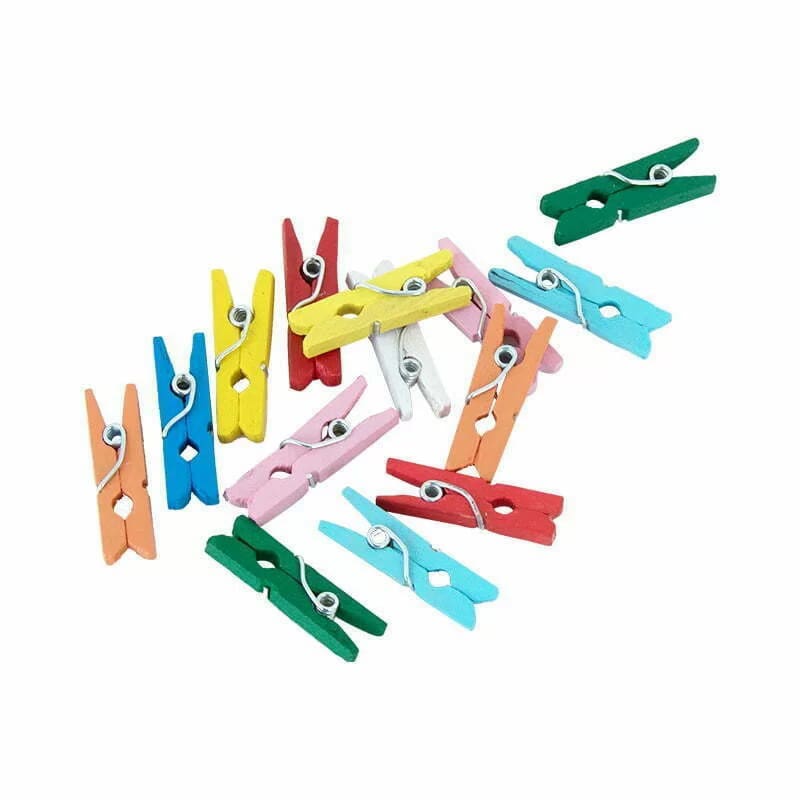 Pegs Wooden Mini Assorted Pk24
