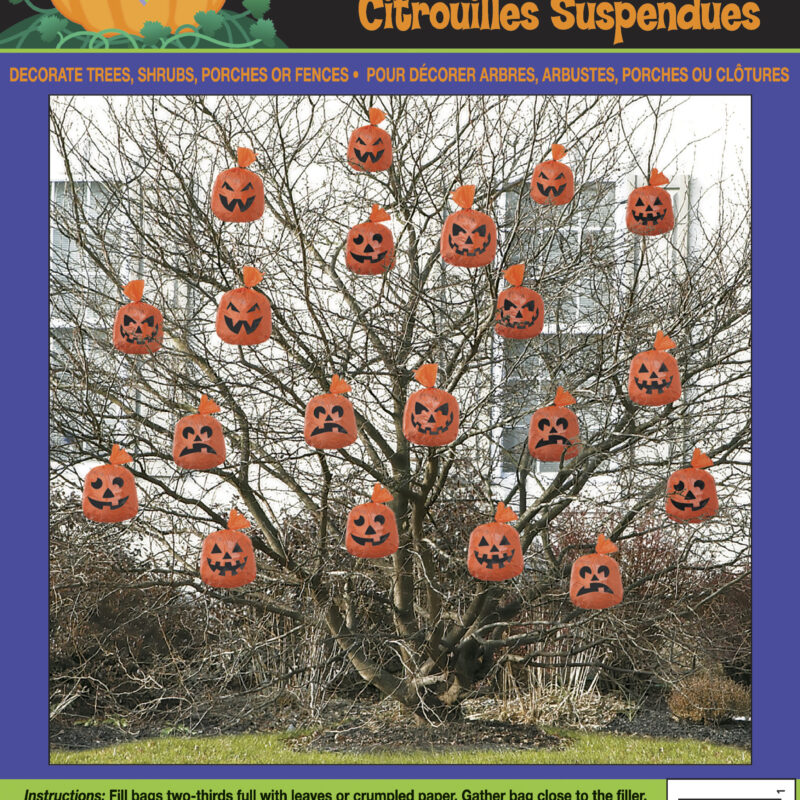 Hanging Pumpkins Pk20 DNR