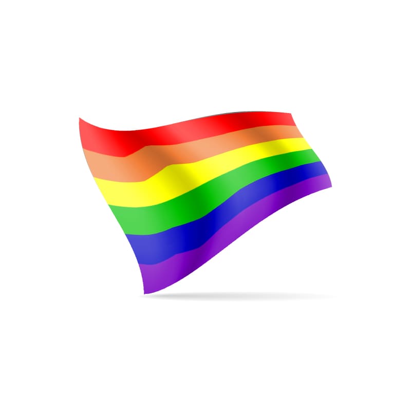 Large Flag Rainbow 90cm x 150cm