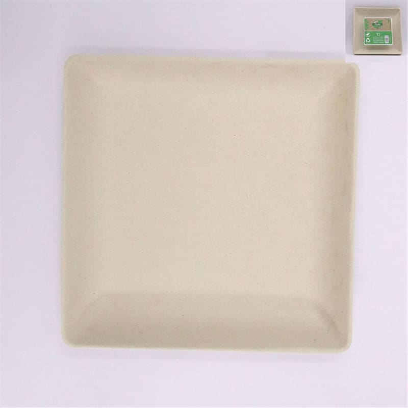 Plates Sugar Cane 17cm Square Pk10