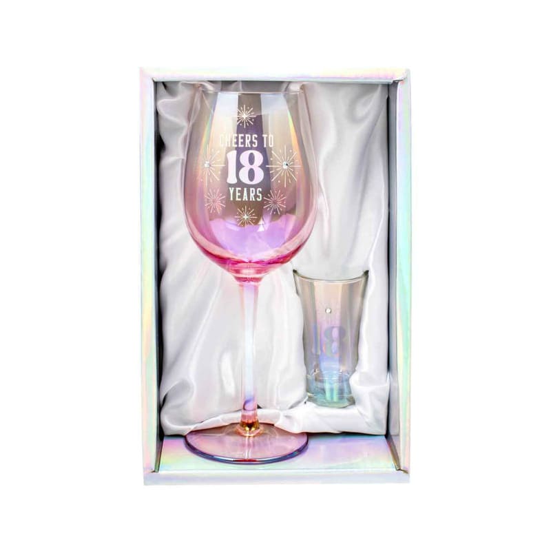 Wine Glass Shot Set Cheers to 18 Years