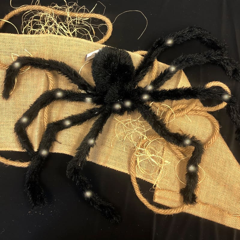 Spider Charlotte Light Up 70cm