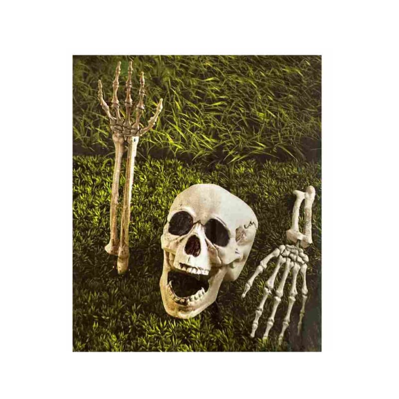 Prop Skeleton Buried Alive