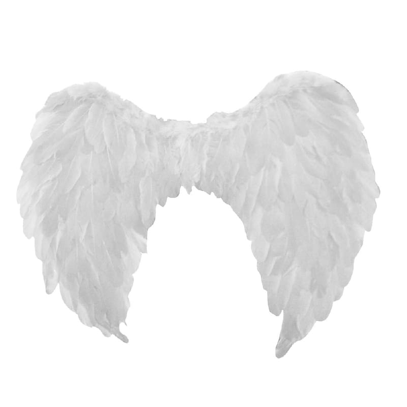 Angel Wings White Feather 60 x 40cm