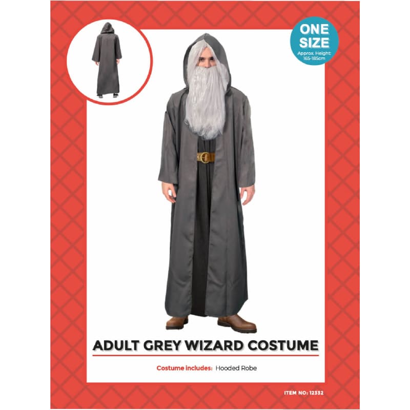 Costume Adult Wizard Grey Robe