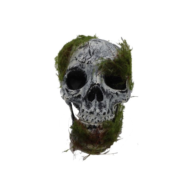 Skull with Moss