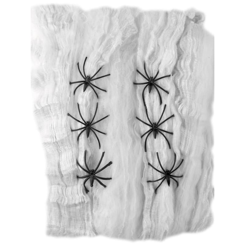 Spider Web with 6 Spiders DNR