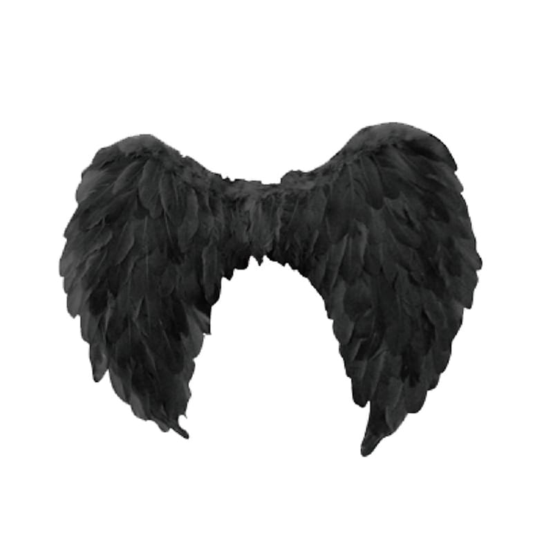 Angel Wings Black Feather 80 x 60cm