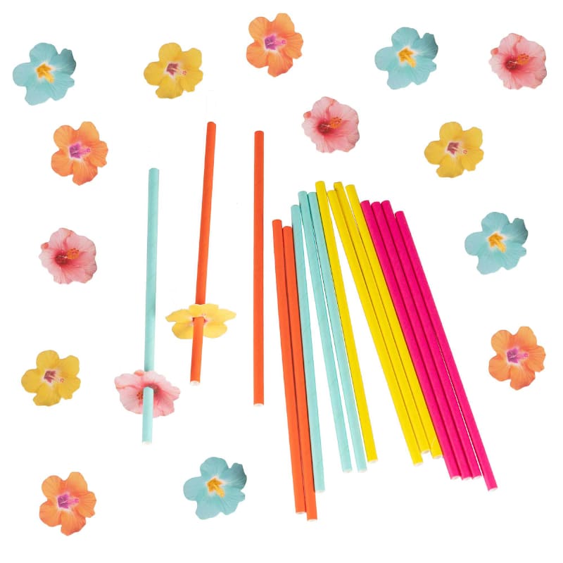 Straws Paper Asst with Flowers Pk16 DNR