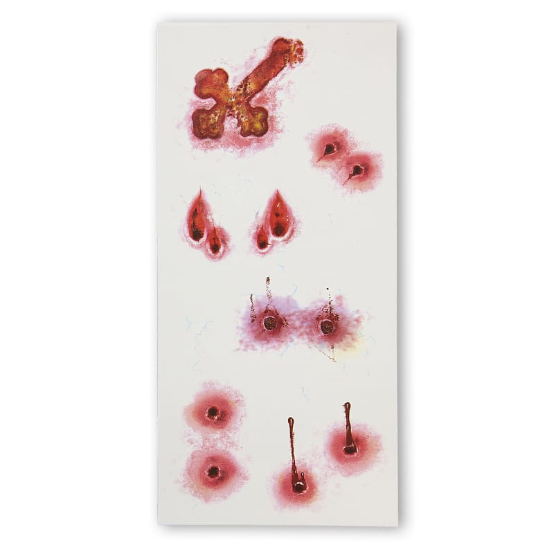 Tattoo Vampire Bites Pk6