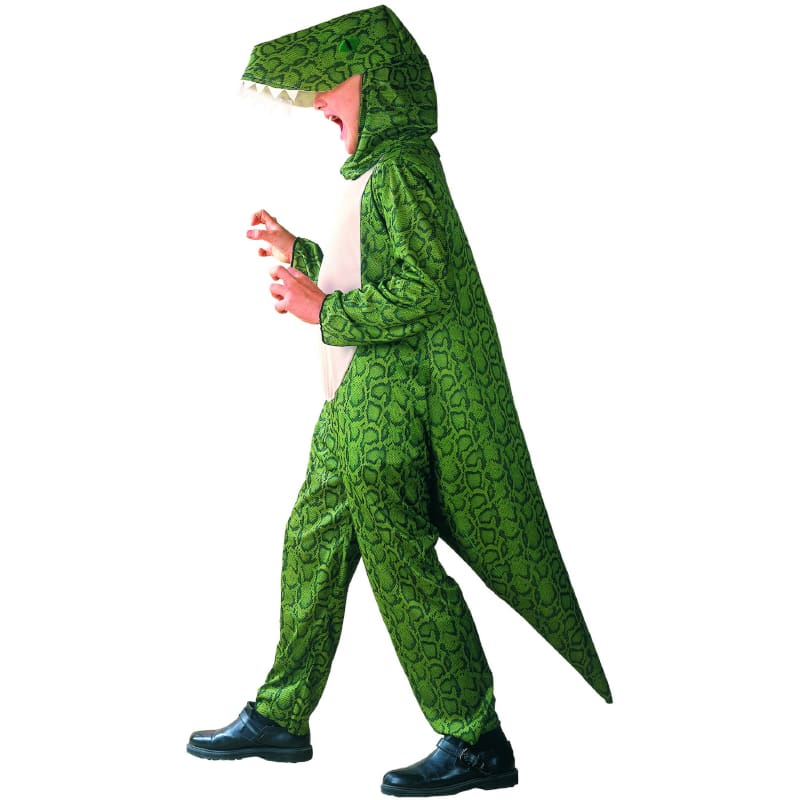 Costume Child Dinosaur Green M